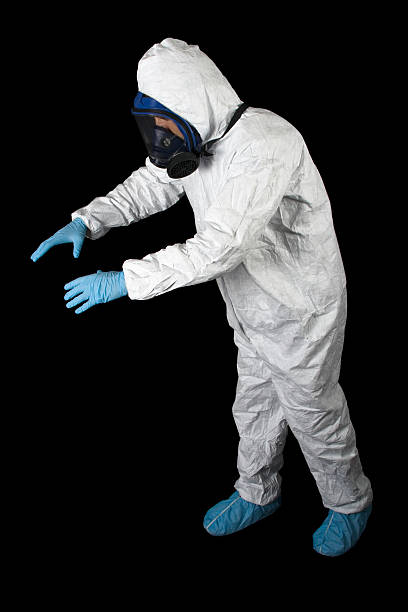  Mayville, MI Mold Removal Pros