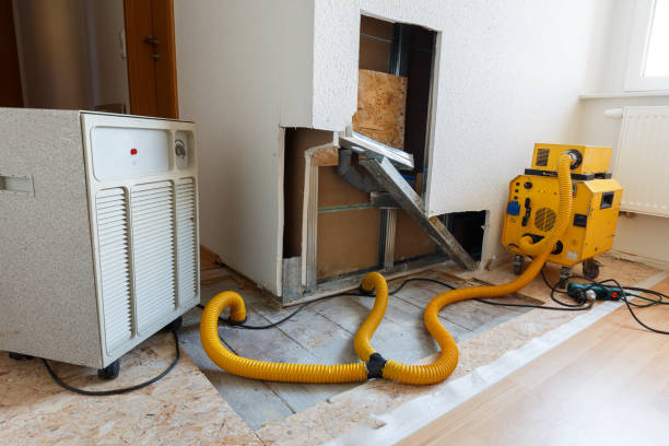 Best Real Estate Mold Inspection  in Mayville, MI